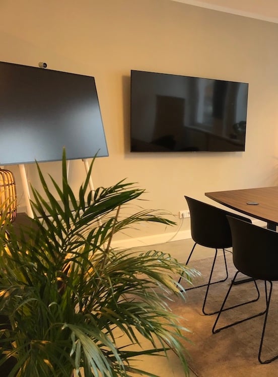 View of the large meeting room at Greyd with digital whiteboard, large screen, plants and room lighting