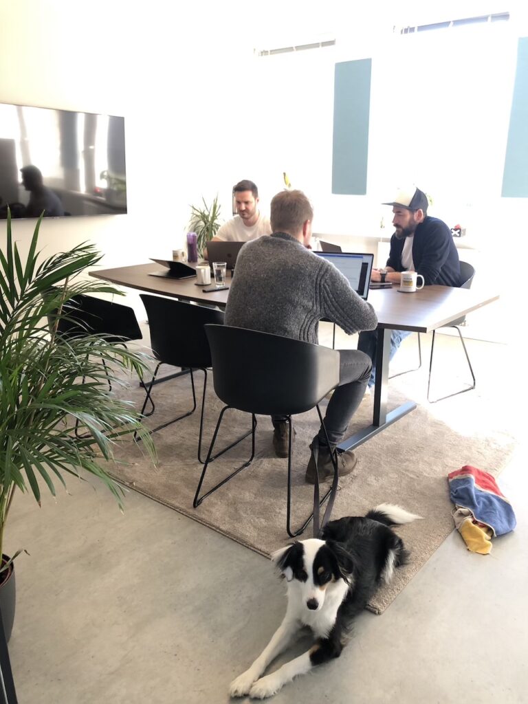 Greyd team in the meeting room with dog