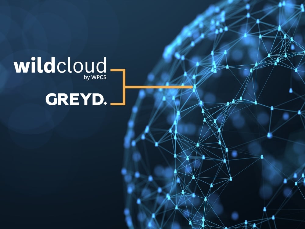 The globe is visible with several light dots. The logos of Greyd and wildcloud are connected with each other and the globe by a yellow line.